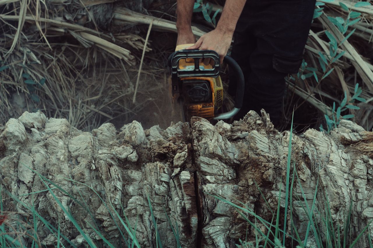 Closeup of a man using a chainsaw to cut a tree trunk in an outdoor setting.